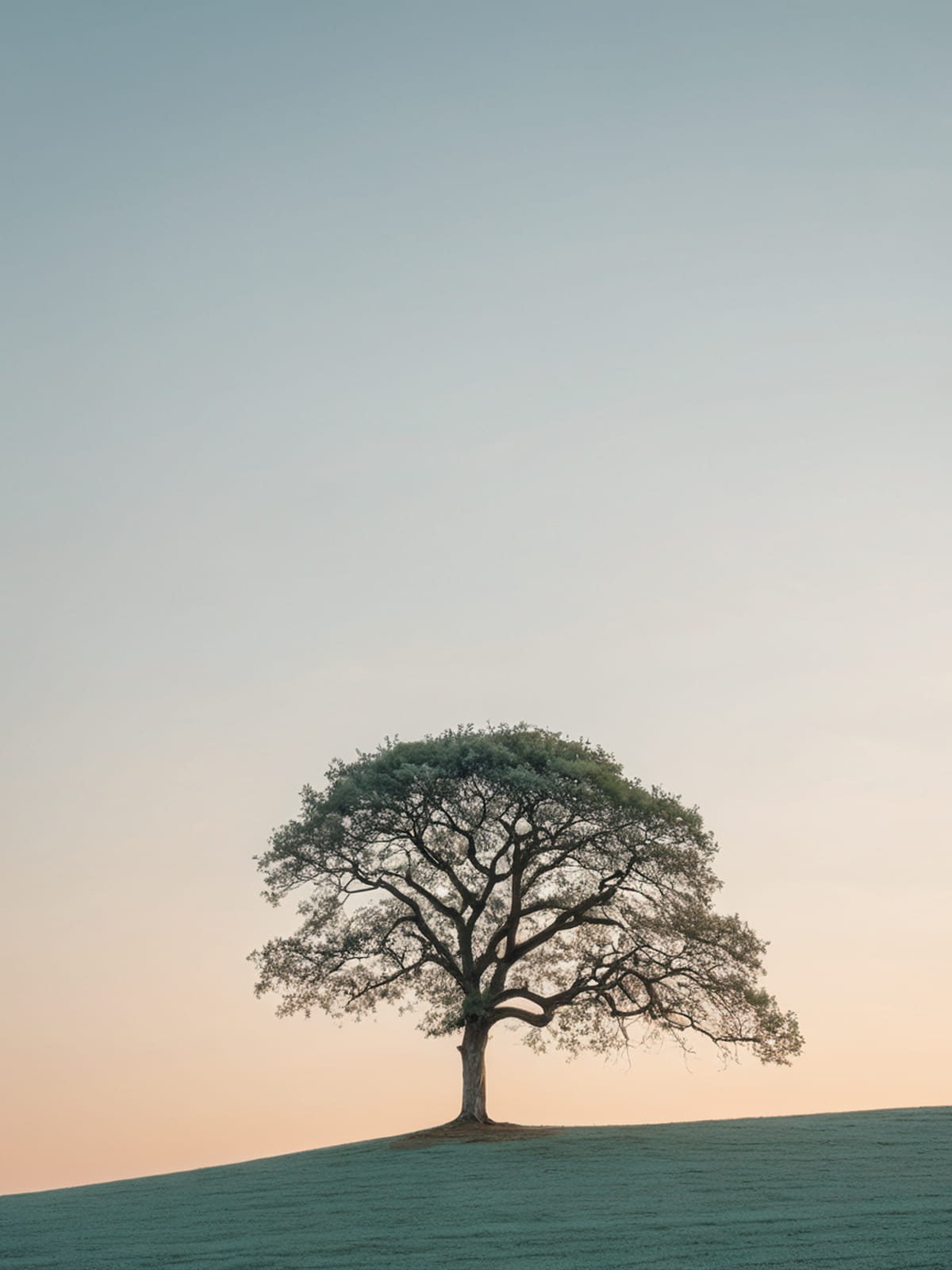 Book cover art for Simply Enjoying God